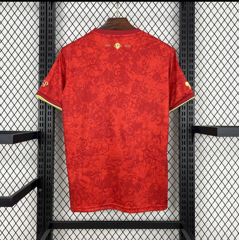 Maillot espagne 2024/2025 - Maillot du Monde