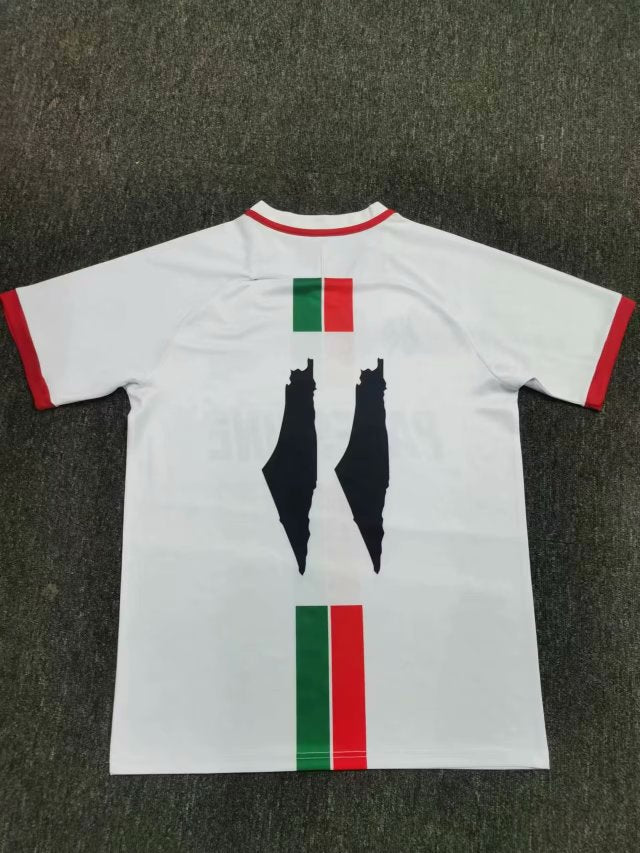 2024 Maillot Adulte Entraînement PALESTINE Blanc - Maillot du Monde